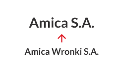 2016 - Nosaukuma maiņa no Amica Wronki S.A. uz Amica S.A.