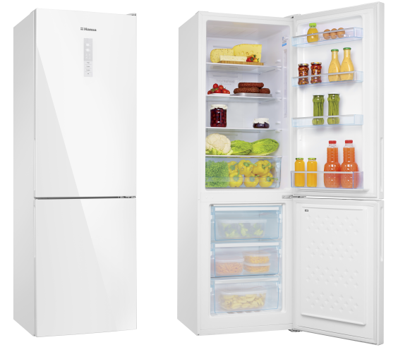 Freestanding refrigerator FK321.6GWDF
